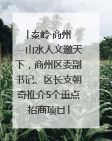 秦岭·商州——山水人文邀天下，商州区委副书记、区长支朝奇推介5个重点招商项目