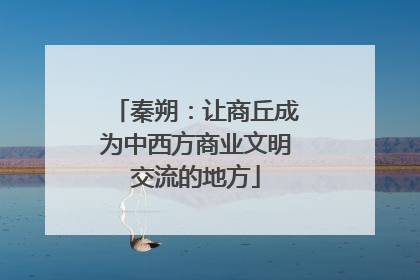 秦朔：让商丘成为中西方商业文明交流的地方