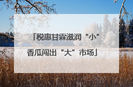 税惠甘霖滋润“小”香瓜闯出“大”市场