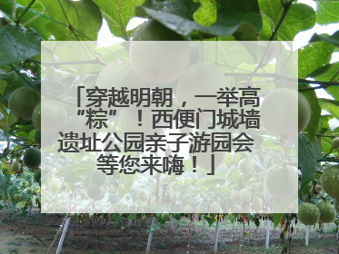 穿越明朝，一举高“粽”！西便门城墙遗址公园亲子游园会等您来嗨！