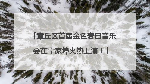 章丘区首届金色麦田音乐会在宁家埠火热上演！