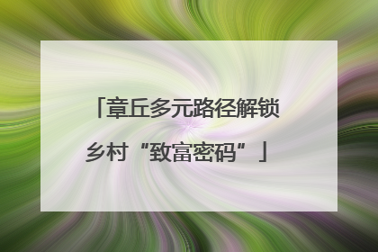 章丘多元路径解锁乡村“致富密码”
