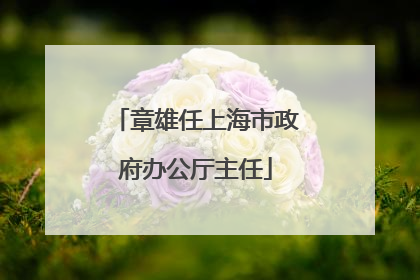 章雄任上海市政府办公厅主任