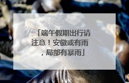 端午假期出行请注意！安徽或有雨，局部有暴雨
