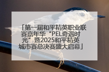 第一届和平精英职业联赛嘉年华“PEL奇遇时光”暨2025和平精英城市赛总决赛盛大启幕