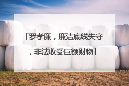 罗孝廉，廉洁底线失守，非法收受巨额财物