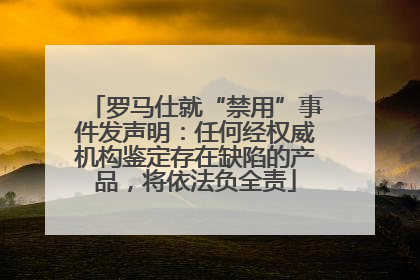 罗马仕就“禁用”事件发声明：任何经权威机构鉴定存在缺陷的产品，将依法负全责