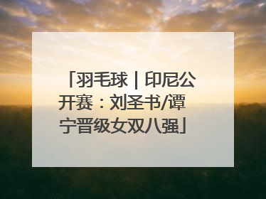 羽毛球｜印尼公开赛：刘圣书/谭宁晋级女双八强