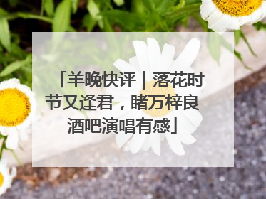 羊晚快评｜落花时节又逢君，睹万梓良酒吧演唱有感