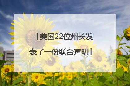 美国22位州长发表了一份联合声明
