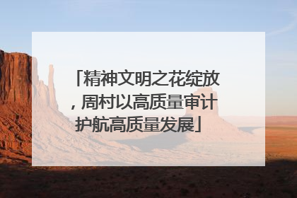 精神文明之花绽放，周村以高质量审计护航高质量发展