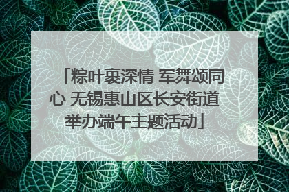 粽叶裹深情 军舞颂同心 无锡惠山区长安街道举办端午主题活动