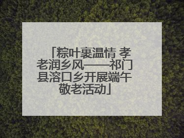 粽叶裹温情 孝老润乡风——祁门县溶口乡开展端午敬老活动