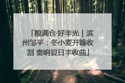 粮满仓·好丰光｜滨州邹平：冬小麦开镰收割 奏响夏日丰收曲