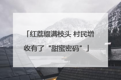 红荔缀满枝头 村民增收有了“甜蜜密码”