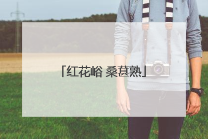 红花峪 桑葚熟