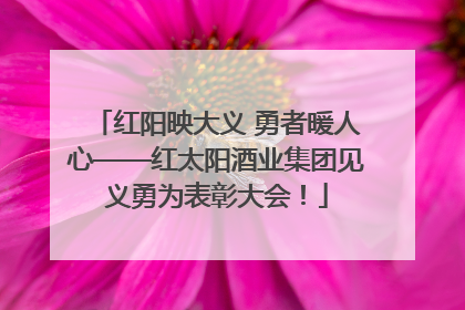 红阳映大义 勇者暖人心——红太阳酒业集团见义勇为表彰大会！