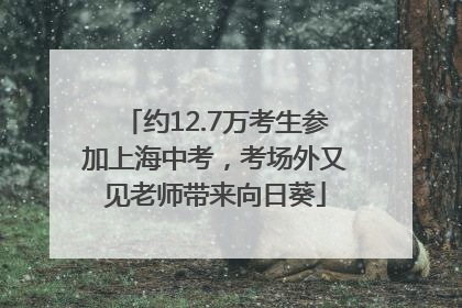 约12.7万考生参加上海中考，考场外又见老师带来向日葵