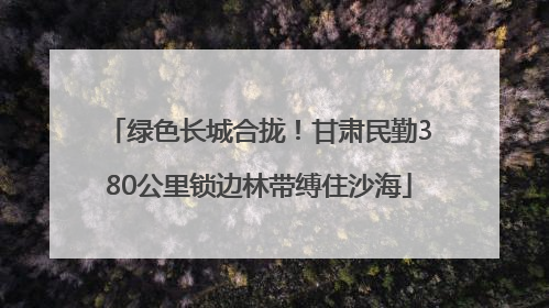 绿色长城合拢！甘肃民勤380公里锁边林带缚住沙海