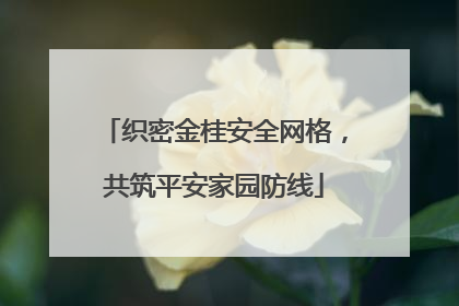 织密金桂安全网格，共筑平安家园防线