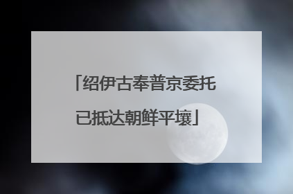 绍伊古奉普京委托已抵达朝鲜平壤