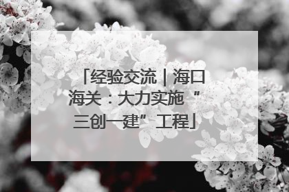 经验交流｜海口海关：大力实施“三创一建”工程