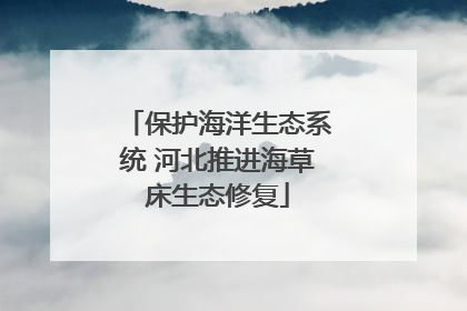 保护海洋生态系统 河北推进海草床生态修复