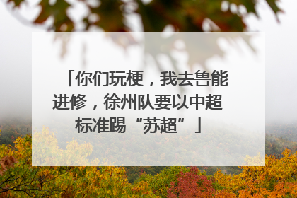 你们玩梗，我去鲁能进修，徐州队要以中超标准踢“苏超”