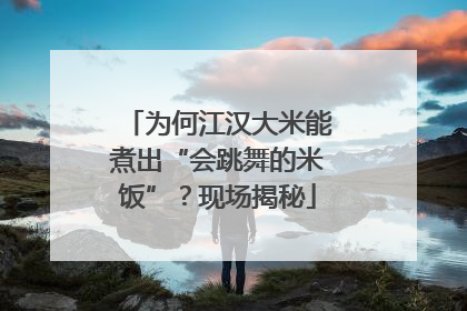 为何江汉大米能煮出“会跳舞的米饭”？现场揭秘