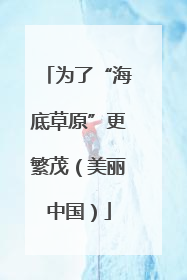 为了“海底草原”更繁茂（美丽中国）