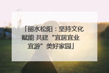 丽水松阳：坚持文化赋能 共建“宜居宜业宜游”美好家园