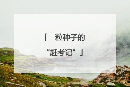 一粒种子的“赶考记”