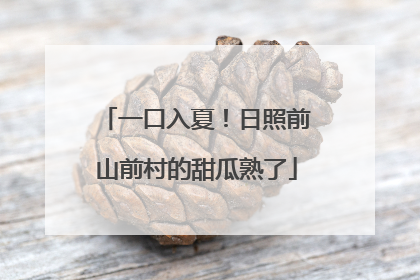 一口入夏！日照前山前村的甜瓜熟了