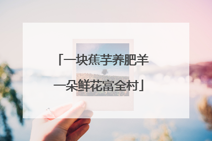 一块蕉芋养肥羊 一朵鲜花富全村