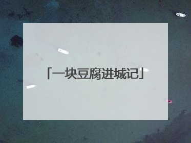 一块豆腐进城记