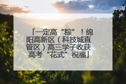 一定高“粽”！绵阳高新区（科技城直管区）高三学子收获高考“花式”祝福
