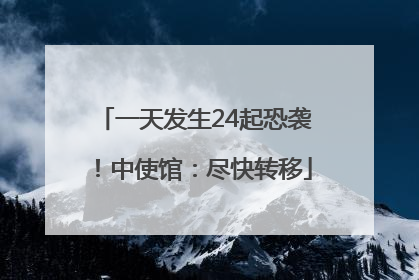一天发生24起恐袭！中使馆：尽快转移