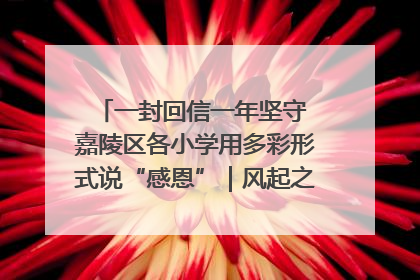 一封回信一年坚守 嘉陵区各小学用多彩形式说“感恩”｜风起之江 扶摇直上