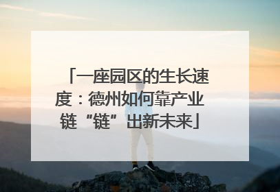 一座园区的生长速度：德州如何靠产业链“链”出新未来