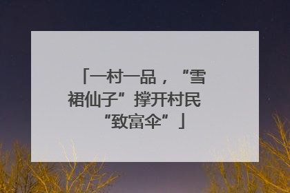一村一品，“雪裙仙子”撑开村民“致富伞”