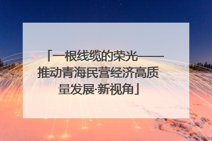 一根线缆的荣光——推动青海民营经济高质量发展·新视角