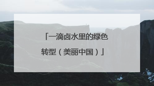 一滴卤水里的绿色转型（美丽中国）
