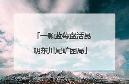 一颗蓝莓盘活昆明东川尾矿困局
