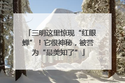 三明这里惊现“红眼蝉”！它很神秘，被誉为“最美知了”