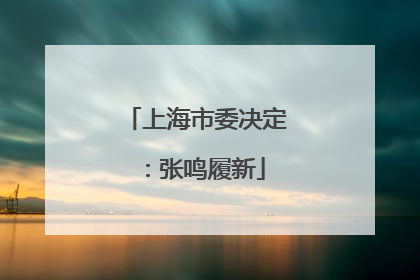 上海市委决定：张鸣履新
