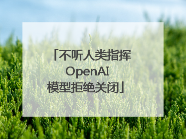 不听人类指挥 OpenAI模型拒绝关闭