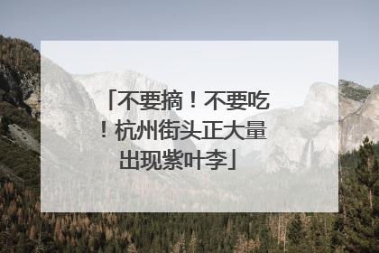 不要摘！不要吃！杭州街头正大量出现紫叶李