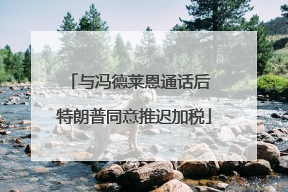 与冯德莱恩通话后 特朗普同意推迟加税