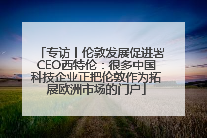 专访丨伦敦发展促进署CEO西特伦：很多中国科技企业正把伦敦作为拓展欧洲市场的门户