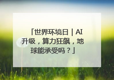 世界环境日｜AI升级，算力狂飙，地球能承受吗？